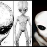 alien photo